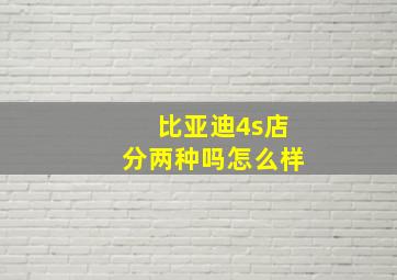 比亚迪4s店分两种吗怎么样