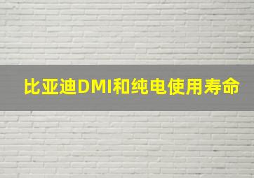 比亚迪DMI和纯电使用寿命