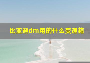 比亚迪dm用的什么变速箱