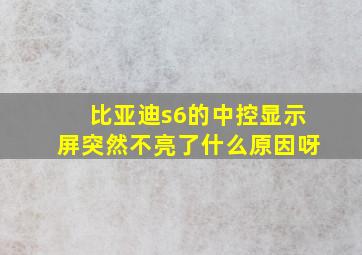 比亚迪s6的中控显示屏突然不亮了什么原因呀