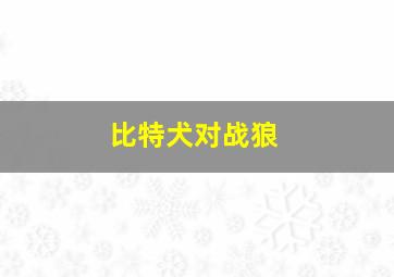 比特犬对战狼