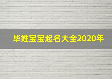 毕姓宝宝起名大全2020年