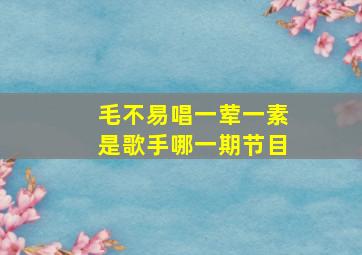 毛不易唱一荤一素是歌手哪一期节目