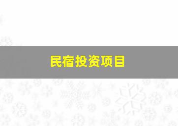 民宿投资项目