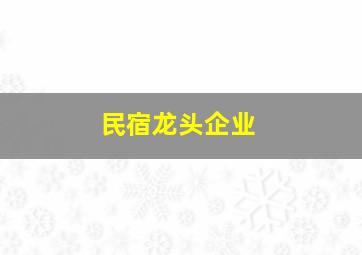 民宿龙头企业