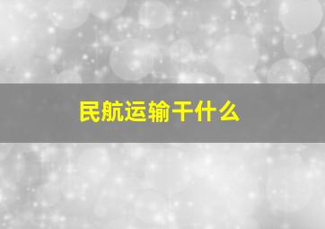 民航运输干什么