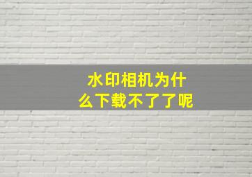 水印相机为什么下载不了了呢