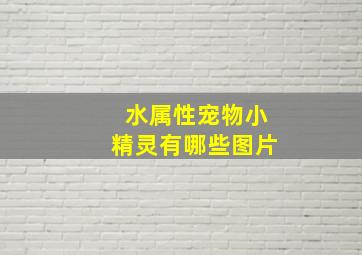 水属性宠物小精灵有哪些图片