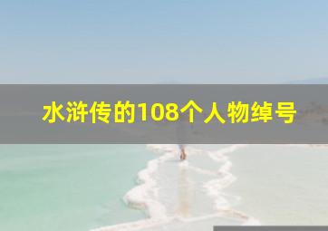 水浒传的108个人物绰号