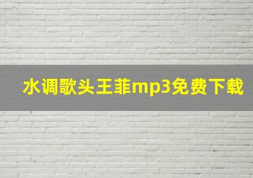 水调歌头王菲mp3免费下载