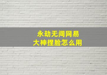 永劫无间网易大神捏脸怎么用