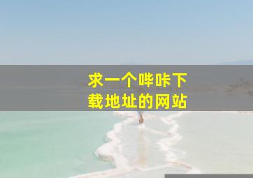 求一个哔咔下载地址的网站