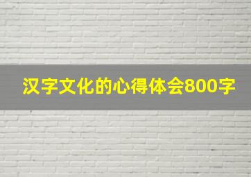 汉字文化的心得体会800字