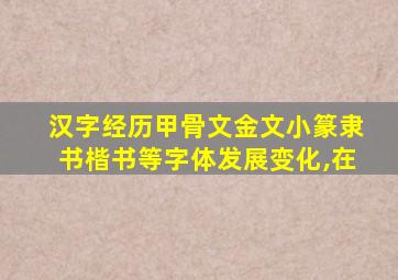 汉字经历甲骨文金文小篆隶书楷书等字体发展变化,在