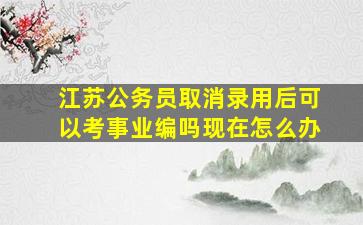 江苏公务员取消录用后可以考事业编吗现在怎么办