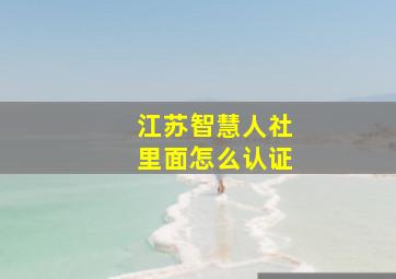 江苏智慧人社里面怎么认证