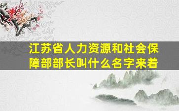 江苏省人力资源和社会保障部部长叫什么名字来着