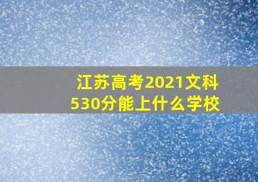 江苏高考2021文科530分能上什么学校