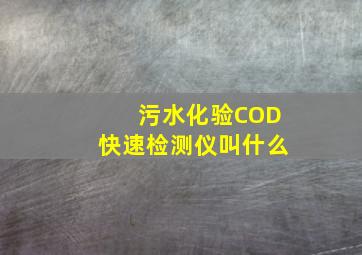 污水化验COD快速检测仪叫什么