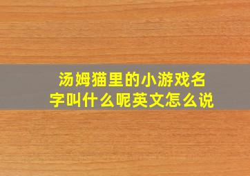 汤姆猫里的小游戏名字叫什么呢英文怎么说