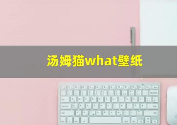 汤姆猫what壁纸