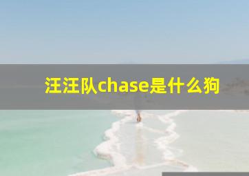 汪汪队chase是什么狗