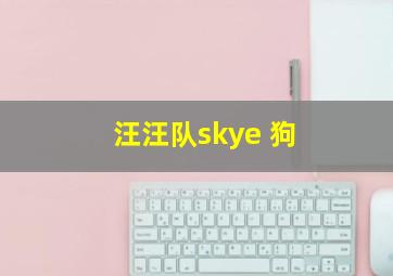 汪汪队skye 狗