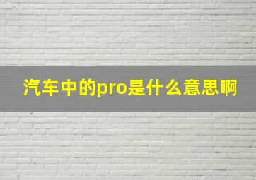 汽车中的pro是什么意思啊