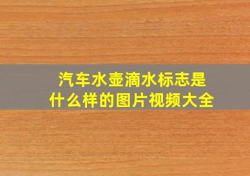 汽车水壶滴水标志是什么样的图片视频大全