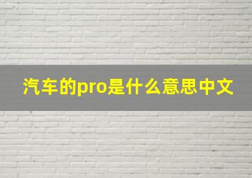 汽车的pro是什么意思中文