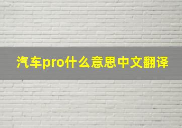 汽车pro什么意思中文翻译