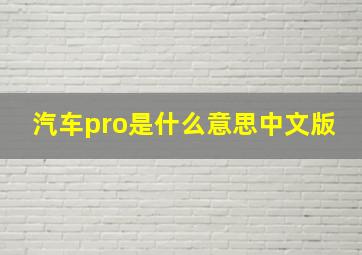 汽车pro是什么意思中文版