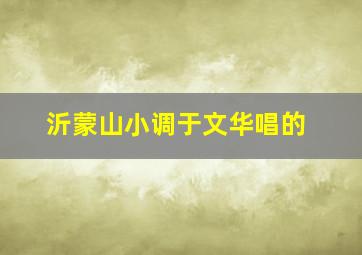 沂蒙山小调于文华唱的