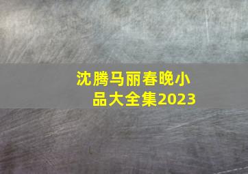 沈腾马丽春晚小品大全集2023