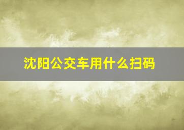 沈阳公交车用什么扫码