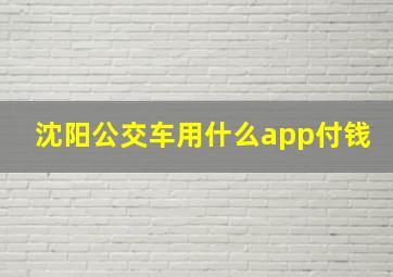 沈阳公交车用什么app付钱