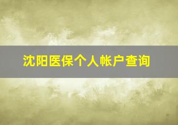 沈阳医保个人帐户查询