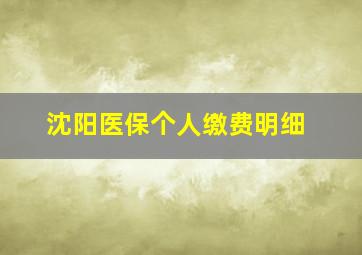 沈阳医保个人缴费明细