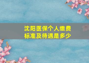 沈阳医保个人缴费标准及待遇是多少