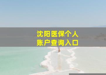 沈阳医保个人账户查询入口