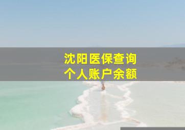 沈阳医保查询个人账户余额