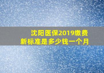 沈阳医保2019缴费新标准是多少钱一个月