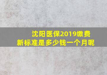 沈阳医保2019缴费新标准是多少钱一个月呢