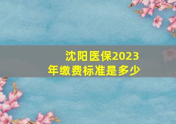 沈阳医保2023年缴费标准是多少