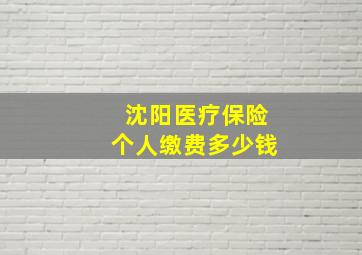 沈阳医疗保险个人缴费多少钱