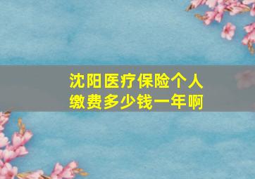 沈阳医疗保险个人缴费多少钱一年啊