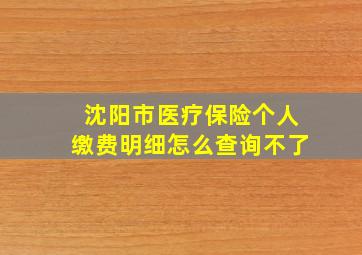 沈阳市医疗保险个人缴费明细怎么查询不了