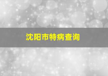 沈阳市特病查询