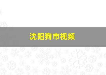 沈阳狗市视频