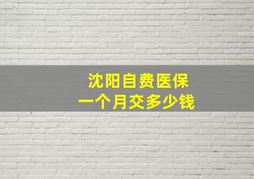 沈阳自费医保一个月交多少钱